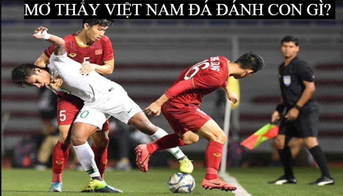 Mơ xem bóng đá đánh con gì Việt Nam đá