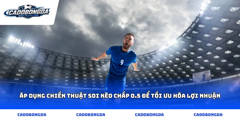 Áp dụng chiến thuật soi kèo chấp 0.5 để tối ưu hóa lợi nhuận