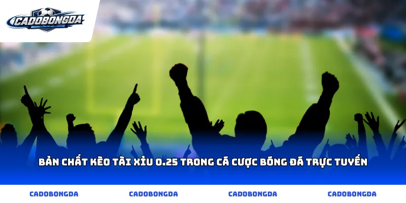 Bản chất kèo tài xỉu 0.25 trong cá cược bóng đá trực tuyến