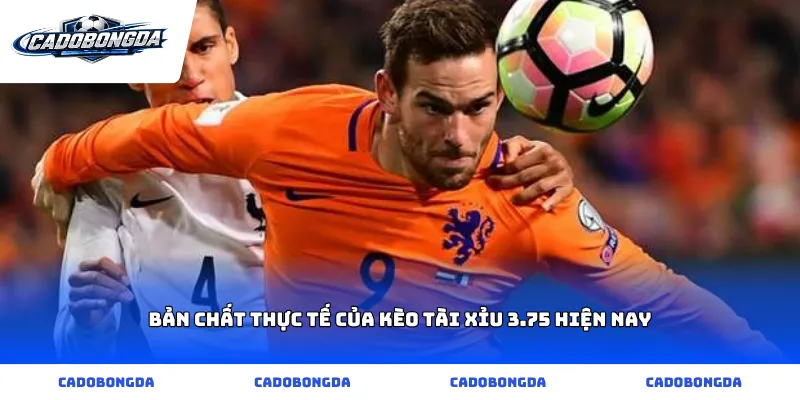 Bản chất thực tế của kèo tài xỉu 3.75 hiện nay