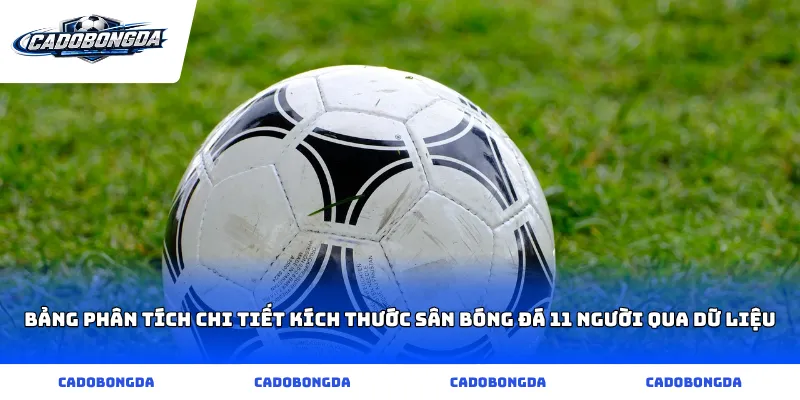 Bảng phân tích chi tiết kích thước sân bóng đá 11 người qua dữ liệu