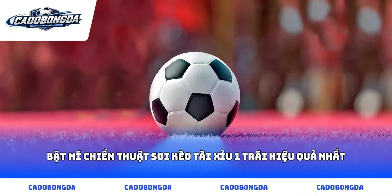 Bật mí chiến thuật soi kèo tài xỉu 1 trái hiệu quả nhất