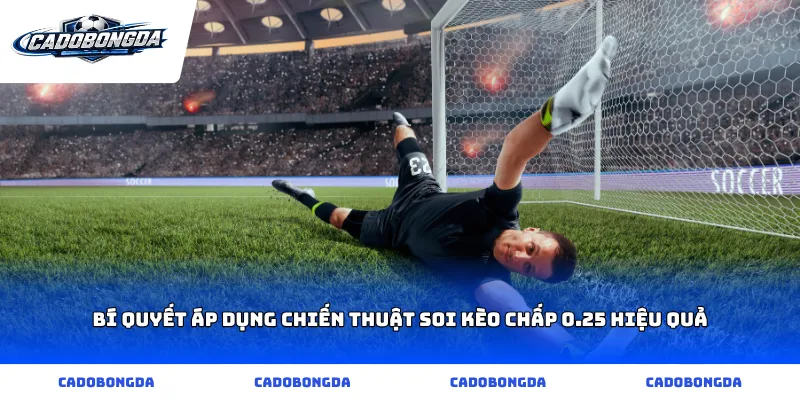 Bí quyết áp dụng chiến thuật soi kèo chấp 0.25 hiệu quả