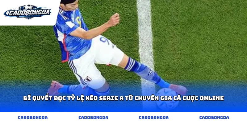Bí quyết đọc Tỷ lệ kèo Serie A từ chuyên gia cá cược online