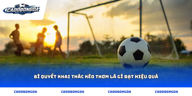 Bí quyết khai thác kèo thơm là gì đạt hiệu quả