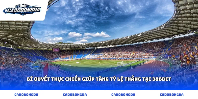 Bí quyết thực chiến giúp tăng tỷ lệ thắng tại 388bet