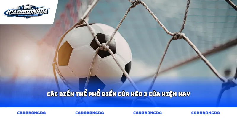 Các biến thể phổ biến của kèo 3 cửa hiện nay