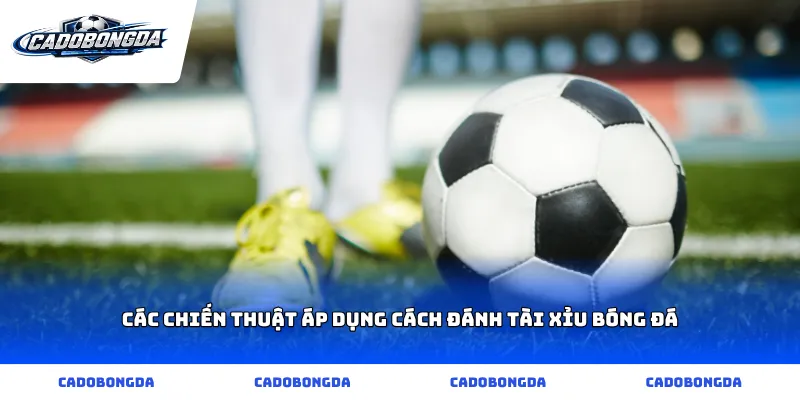 Các chiến thuật áp dụng cách đánh tài xỉu bóng đá