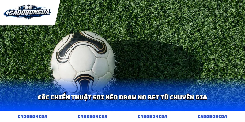 Các chiến thuật soi kèo draw no bet từ chuyên gia