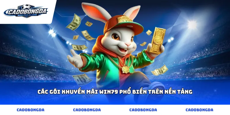 Các gói khuyến mãi win79 phổ biến trên nền tảng