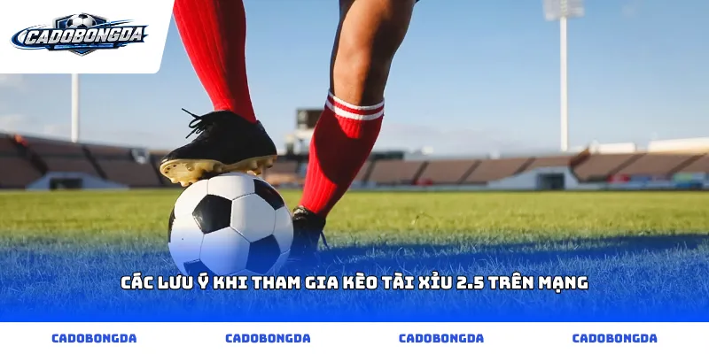 Các lưu ý khi tham gia kèo tài xỉu 2.5 trên mạng