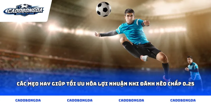 Các mẹo hay giúp tối ưu hóa lợi nhuận khi đánh kèo chấp 0.25