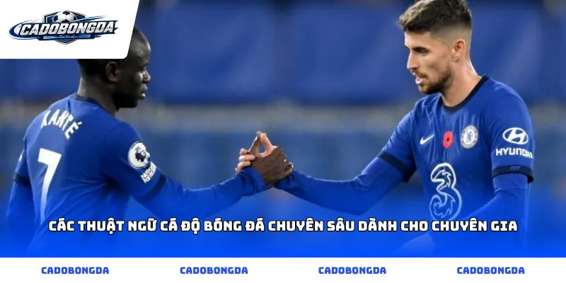 Các Thuật ngữ cá độ bóng đá chuyên sâu dành cho chuyên gia