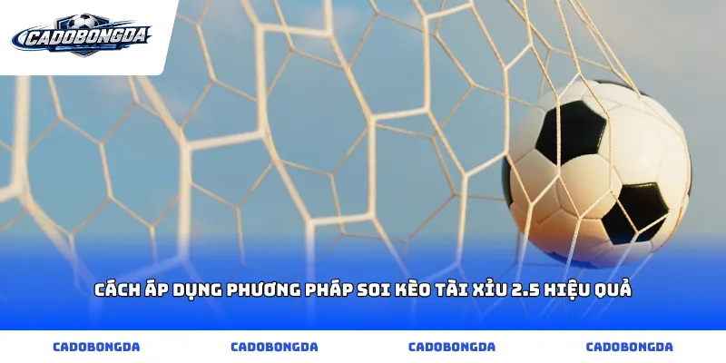 Cách áp dụng phương pháp soi kèo tài xỉu 2.5 hiệu quả