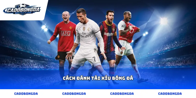 cách đánh tài xỉu bóng đá