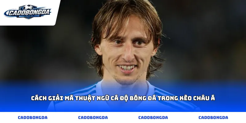 Cách giải mã Thuật ngữ cá độ bóng đá trong kèo châu Á