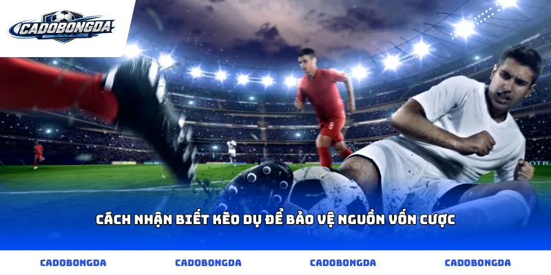 Cách nhận biết kèo dụ để bảo vệ nguồn vốn cược