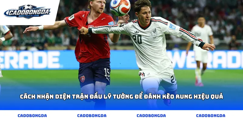 Cách nhận diện trận đấu lý tưởng để đánh kèo rung hiệu quả