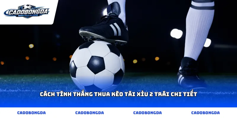 Cách tính thắng thua kèo tài xỉu 2 trái chi tiết