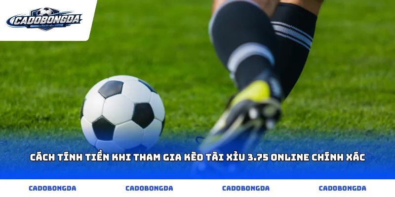 Cách tính tiền khi tham gia kèo tài xỉu 3.75 online chính xác