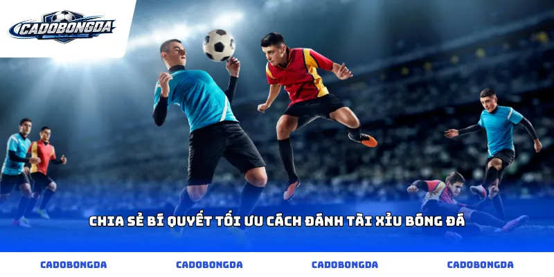 Chia sẻ bí quyết tối ưu cách đánh tài xỉu bóng đá