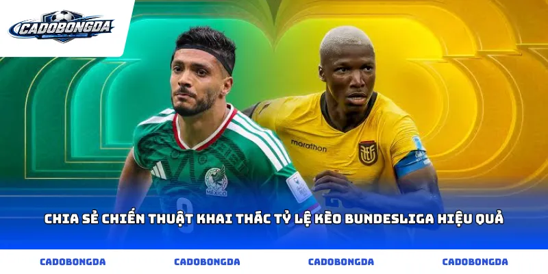 Chia sẻ chiến thuật khai thác Tỷ lệ kèo Bundesliga hiệu quả