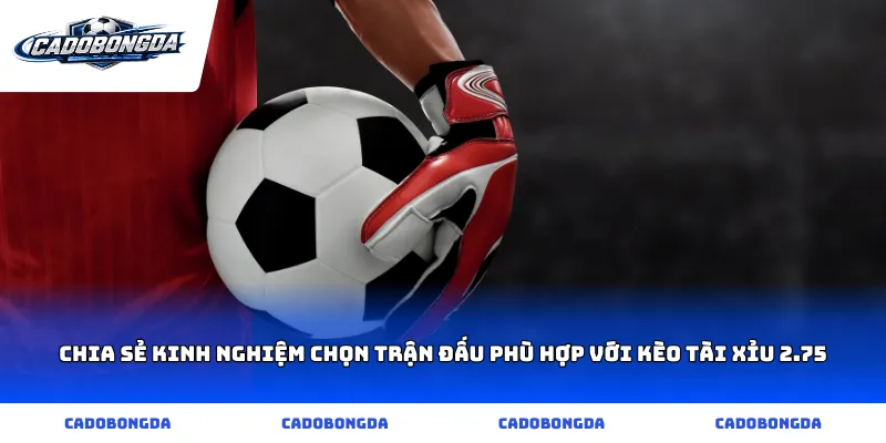 Chia sẻ kinh nghiệm chọn trận đấu phù hợp với kèo tài xỉu 2.75