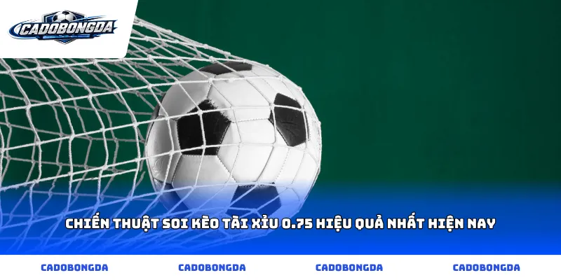 Chiến thuật soi kèo tài xỉu 0.75 hiệu quả nhất hiện nay