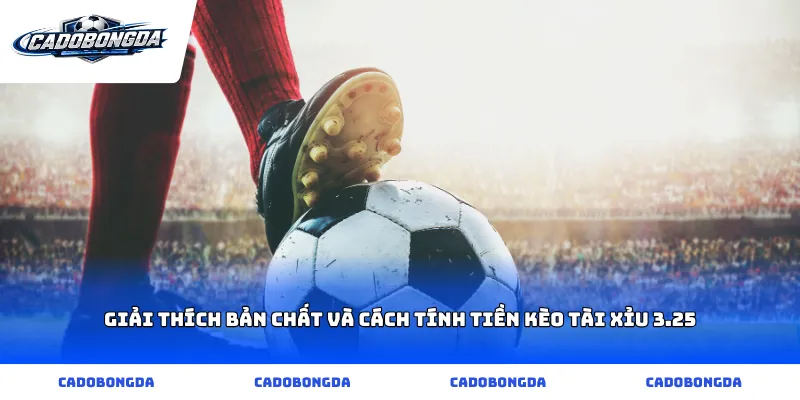 Giải thích bản chất và cách tính tiền kèo tài xỉu 3.25