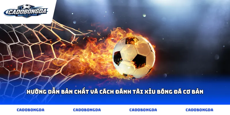 Hướng dẫn bản chất và cách đánh tài xỉu bóng đá cơ bản