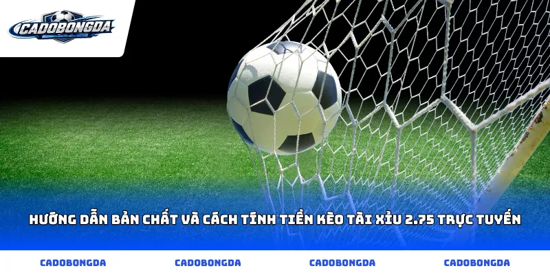Hướng dẫn bản chất và cách tính tiền kèo tài xỉu 2.75 trực tuyến