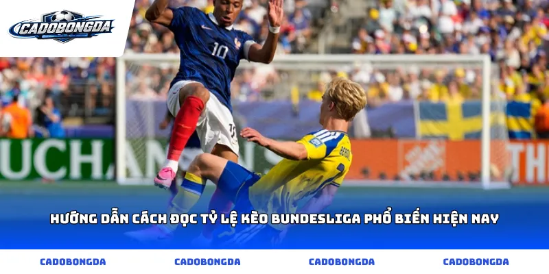 Hướng dẫn cách đọc Tỷ lệ kèo Bundesliga phổ biến hiện nay