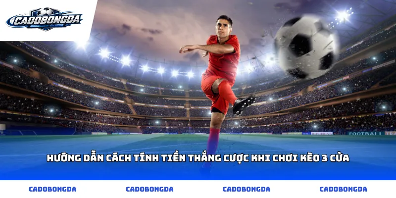 Hướng dẫn cách tính tiền thắng cược khi chơi kèo 3 cửa