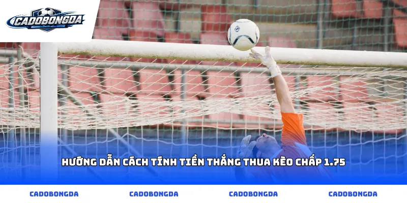 Hướng dẫn cách tính tiền thắng thua kèo chấp 1.75