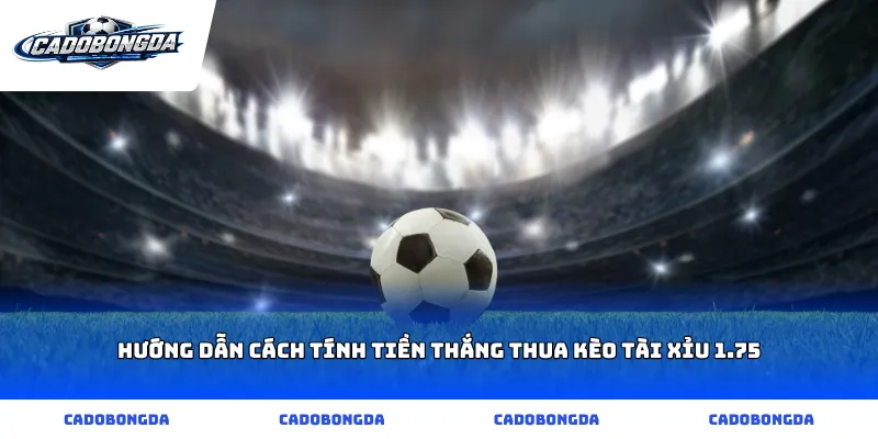 Hướng dẫn cách tính tiền thắng thua kèo tài xỉu 1.75