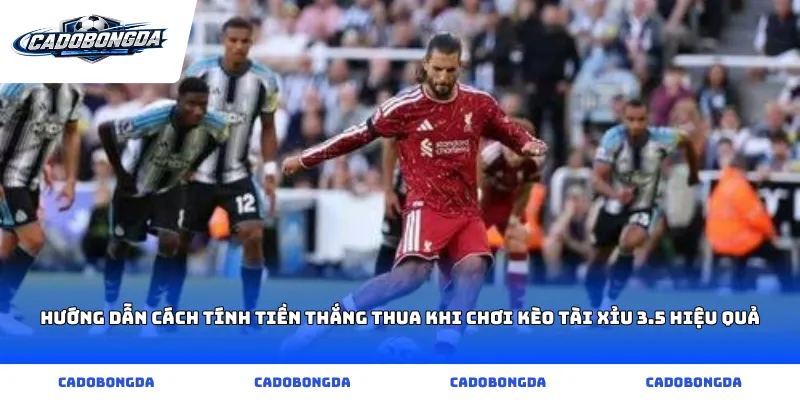 Hướng dẫn cách tính tiền thắng thua khi chơi kèo tài xỉu 3.5 hiệu quả