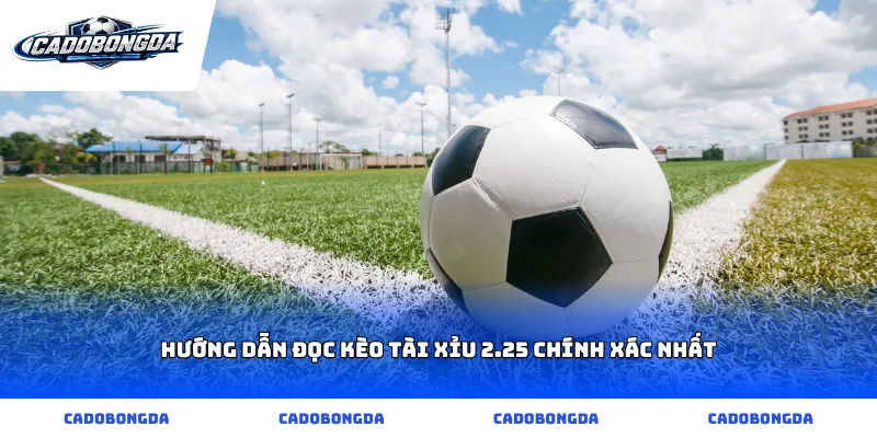 Hướng dẫn đọc kèo tài xỉu 2.25 chính xác nhất