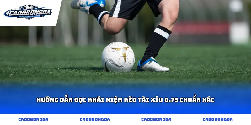 Hướng dẫn đọc khái niệm kèo tài xỉu 0.75 chuẩn xác