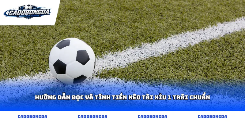 Hướng dẫn đọc và tính tiền kèo tài xỉu 1 trái chuẩn
