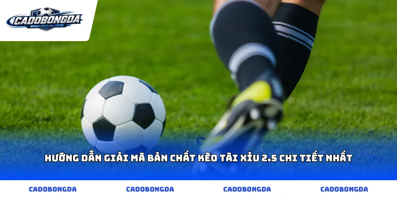 Hướng dẫn giải mã bản chất kèo tài xỉu 2.5 chi tiết nhất
