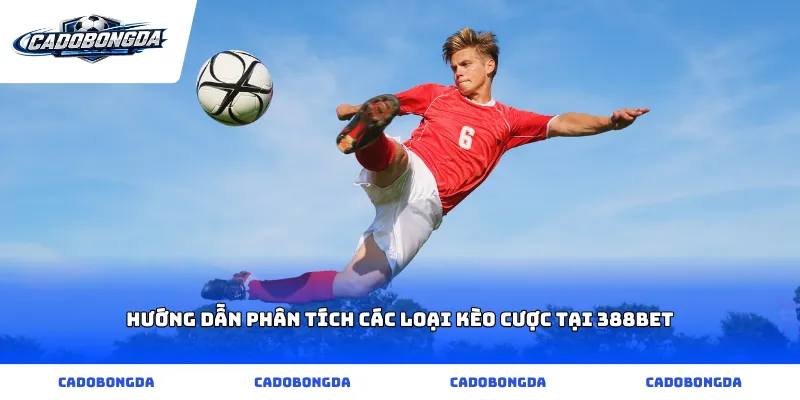 Hướng dẫn phân tích các loại kèo cược tại 388bet