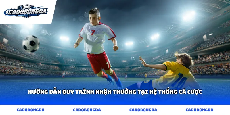 Hướng dẫn quy trình nhận thưởng tại hệ thống cá cược