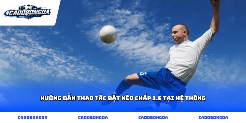 Hướng dẫn thao tác đặt kèo chấp 1.5 tại hệ thống