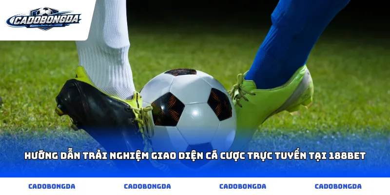 Hướng dẫn trải nghiệm giao diện cá cược trực tuyến tại 188bet