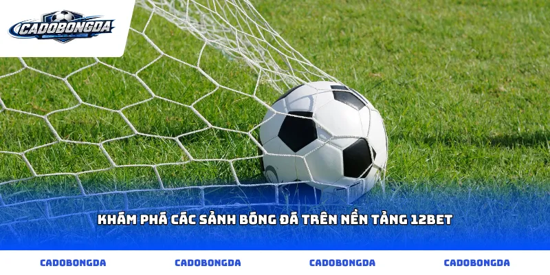 Khám phá các sảnh bóng đá trên nền tảng 12bet