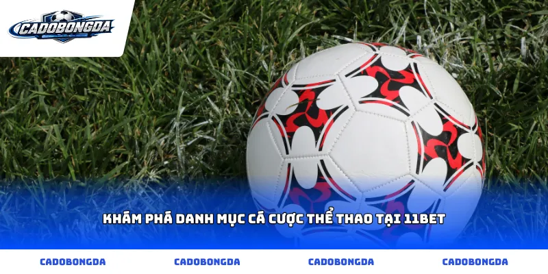 Khám phá danh mục cá cược thể thao tại 11bet