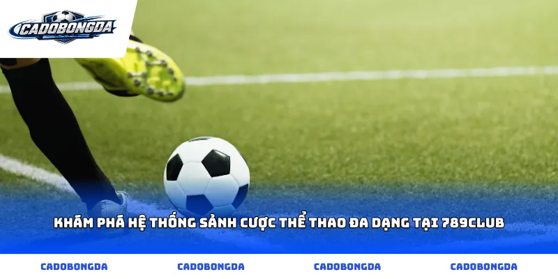 Khám phá hệ thống sảnh cược thể thao đa dạng tại 789club