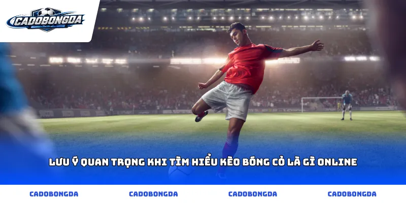 Lưu ý quan trọng khi tìm hiểu kèo bóng cỏ là gì online