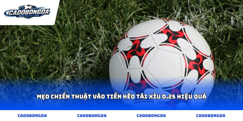 Mẹo chiến thuật vào tiền kèo tài xỉu 0.25 hiệu quả