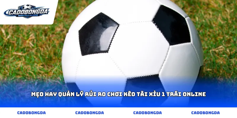 Mẹo hay quản lý rủi ro chơi kèo tài xỉu 1 trái online